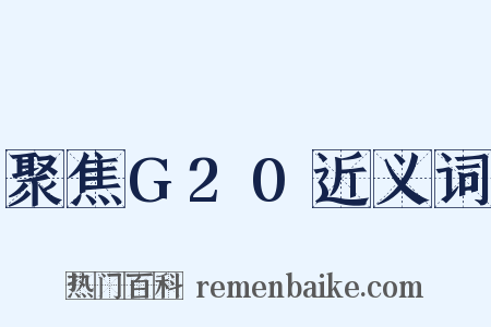 聚焦G20近义词是什么意思的图片